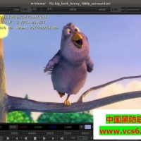 mrViewer(视频播放器)v5.5.2 官方版